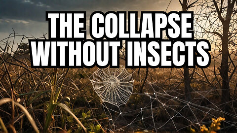 What If Insects Disappeared? How Earth Would Collapse Without Bugs