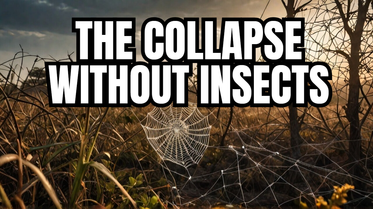What If Insects Disappeared? How Earth Would Collapse Without Bugs