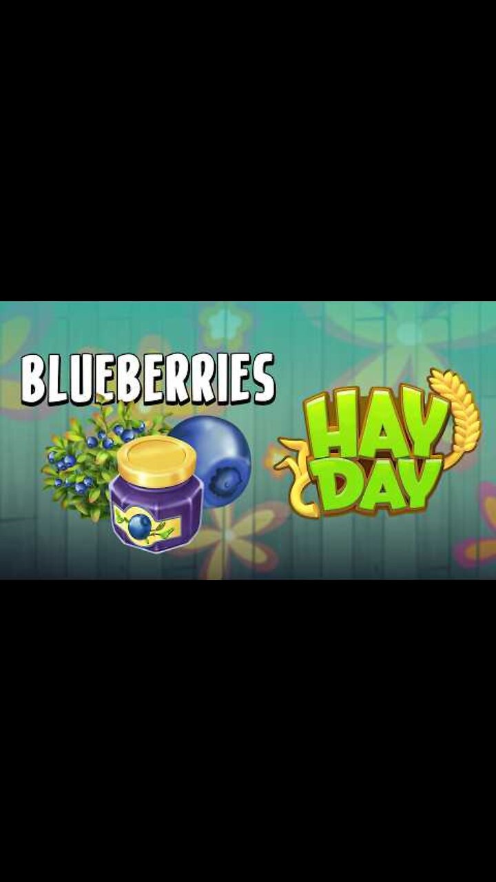 Blueberries and Capybaras in Hay Day?!