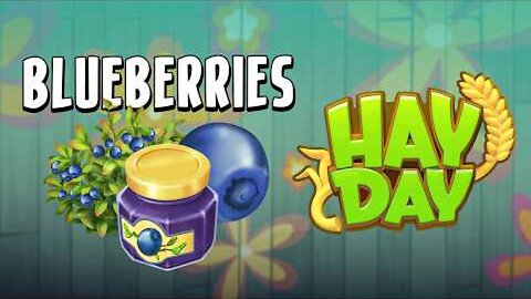 Blueberries and Capybaras in Hay Day?!
