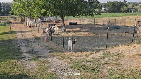 Graham Family Farm NW: 9:00 AM September 7 2025