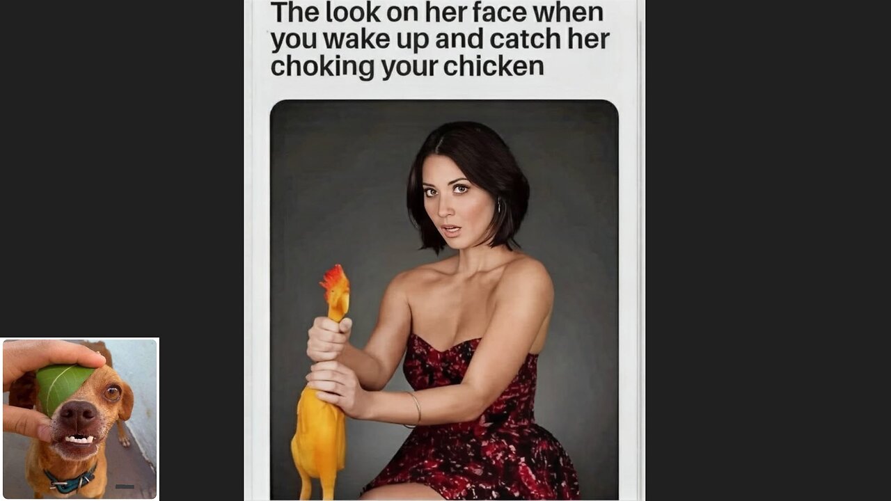 Memes That Will 99.0514% Make You Laugh. (e738)