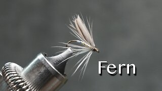 Fern: a trout fly pattern from Favorite Flies and Their Histories (1892) by Mary Orvis Marbury