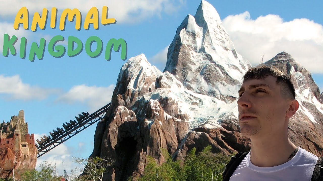 Wild Encounters and Thrilling Rides: My Second Day at Animal Kingdom!