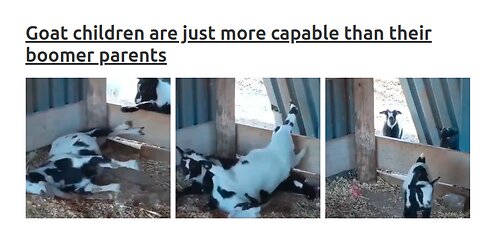 Goat kids are athletic. Their parents are something else...