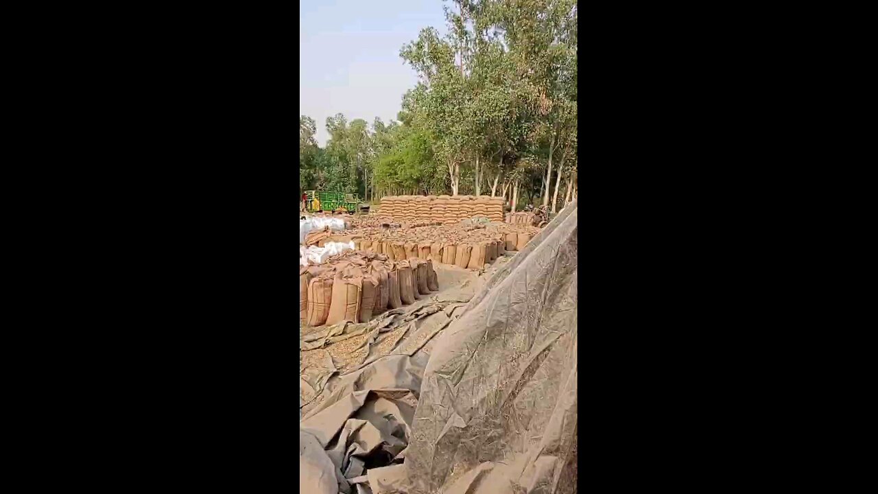 satisfying Video