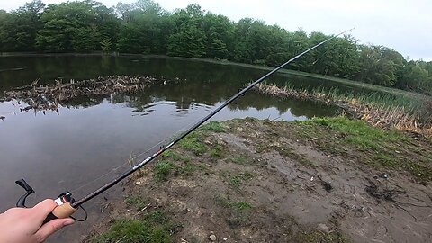 a few fish from the past few weeks. #uglystik #fishing