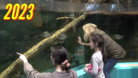 ADVENTURE AQUARIUM ADVENTURE (PART 1)