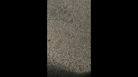Bruh