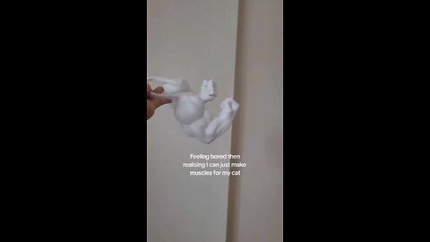 cat's are so funny 😭