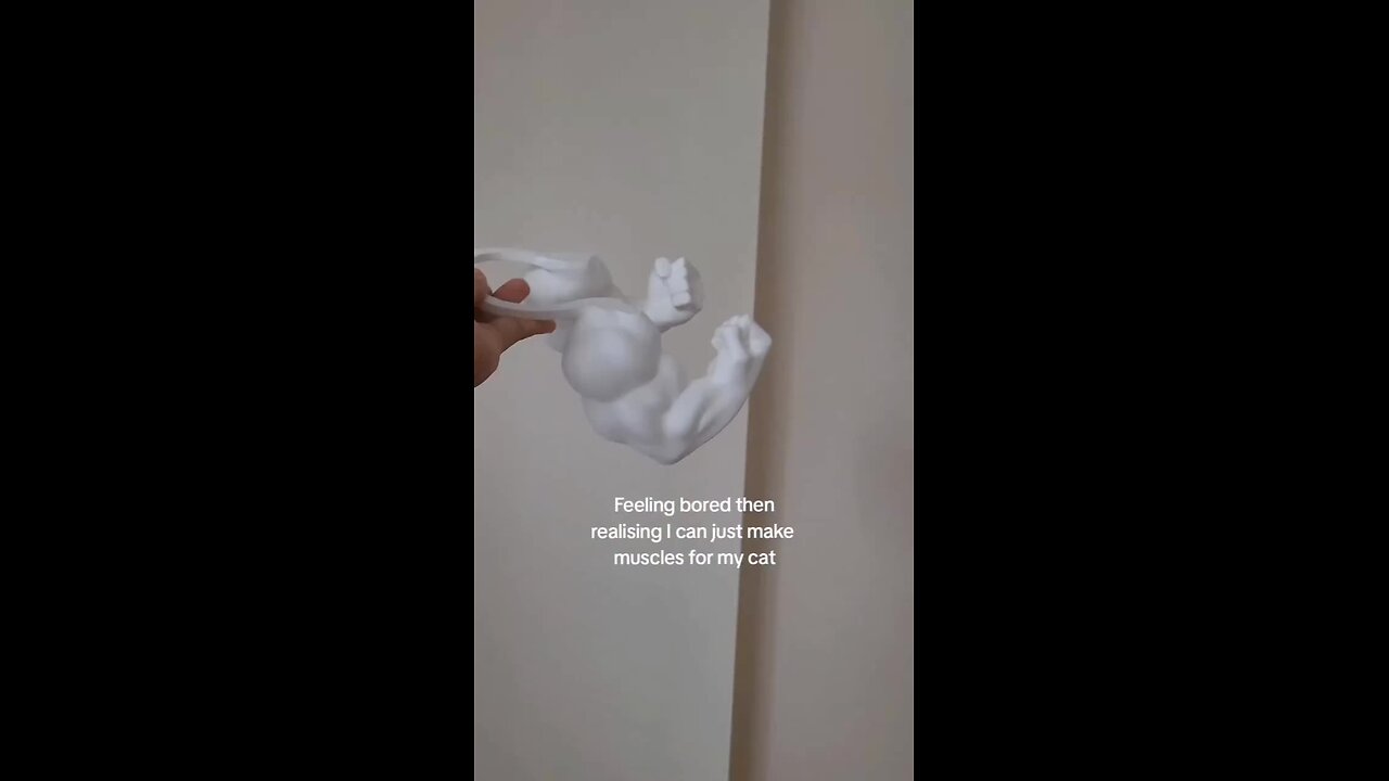 cat's are so funny 😭