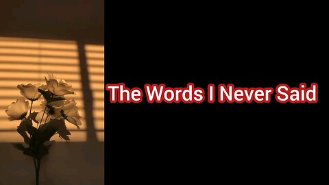 The words i never said