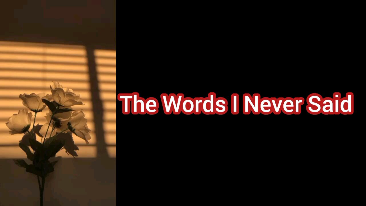 The words i never said