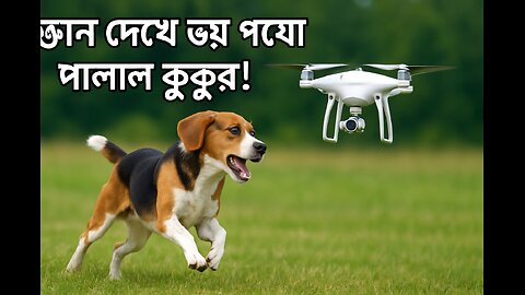 "ড্রোন দেখে ভয় পেয়ে পালাল কুকুর!"#Dog vs Drone #Funny Dog Reaction#Drone Scares Dog