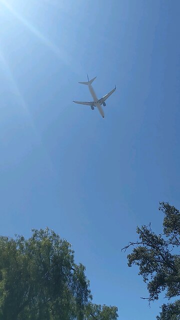 Airplane approach from Golden Hill Balboa Park San Diego East Downtown #aviation #sandiego #ca