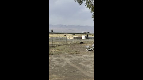 Buttonwillow Training