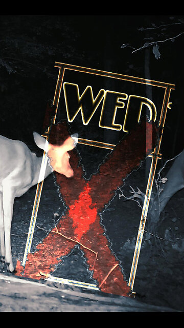 Countdown to Sept 13 - Wednesday