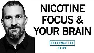How Nicotine Impacts Your Brain & Enhances Focus - Dr. Andrew Huberman