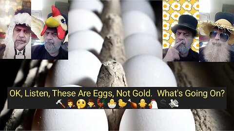 Why Are Egg Prices So High? 🔨👩‍⚖️🤔👨‍⚖️🐓🐣🐤🍗🐥🐔💲💸