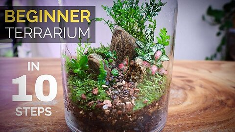 How to make close terrarium 🌿🍁☘ Terrarium Design | Terrarium Tutorials #terrarium
