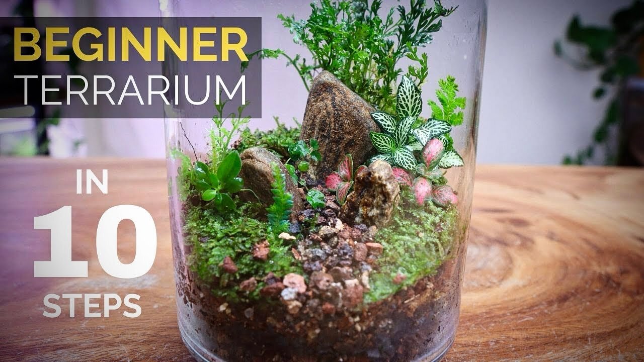 How to make close terrarium 🌿🍁☘ Terrarium Design | Terrarium Tutorials #terrarium