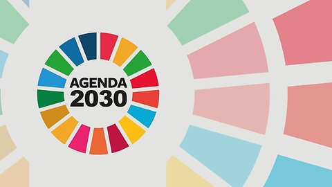 The Digital ID UN 2030 Agenda (@blunts4jesus_)