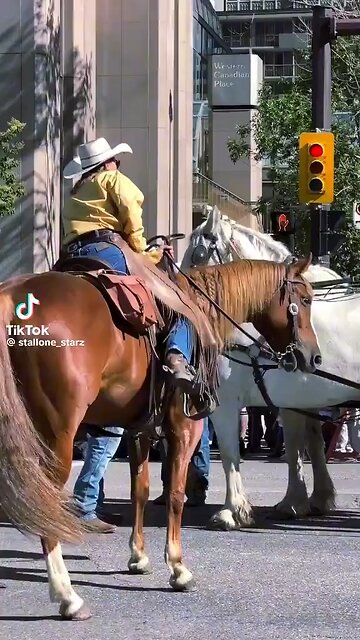 This trainer deserves a round of applause! His quick reaction