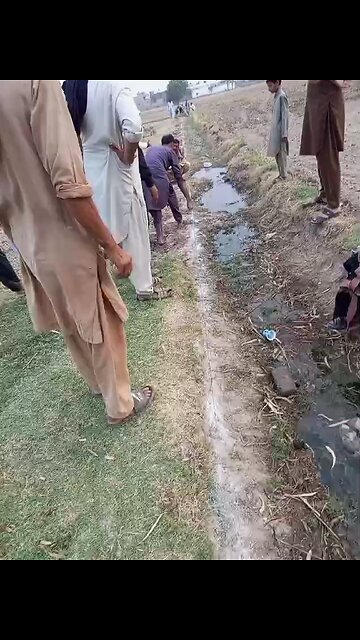 پنڈ دے سیاپے