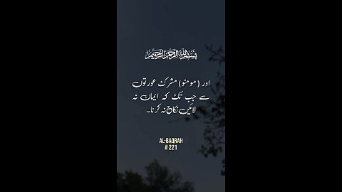 Surah Baqrah | Urdu Translation Of Quran #surahbaqrah #quran #islam #islamic_video #nabeelbutt526