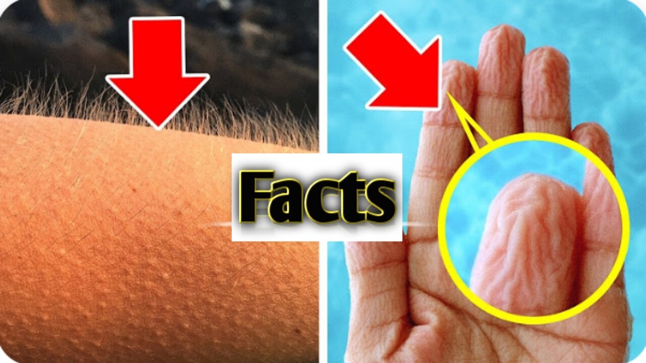 Crazy facts about human life