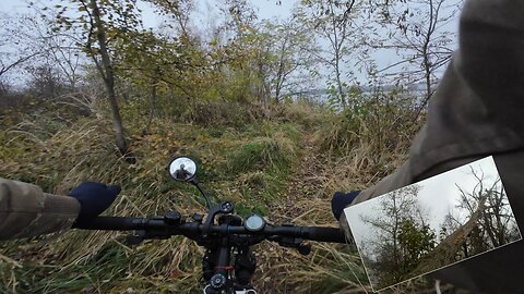 Cycling, 14.11.2025 [B] Donauinsel