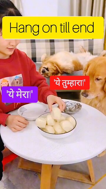 “Hilarious Fun with the Goofiest Dog!” 🤣😂