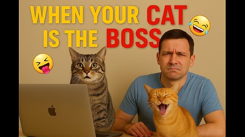 when your cat is the boss🤣🤣🤣