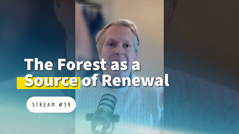 The Forest as a Source of Eternal Renewal [stream #59]