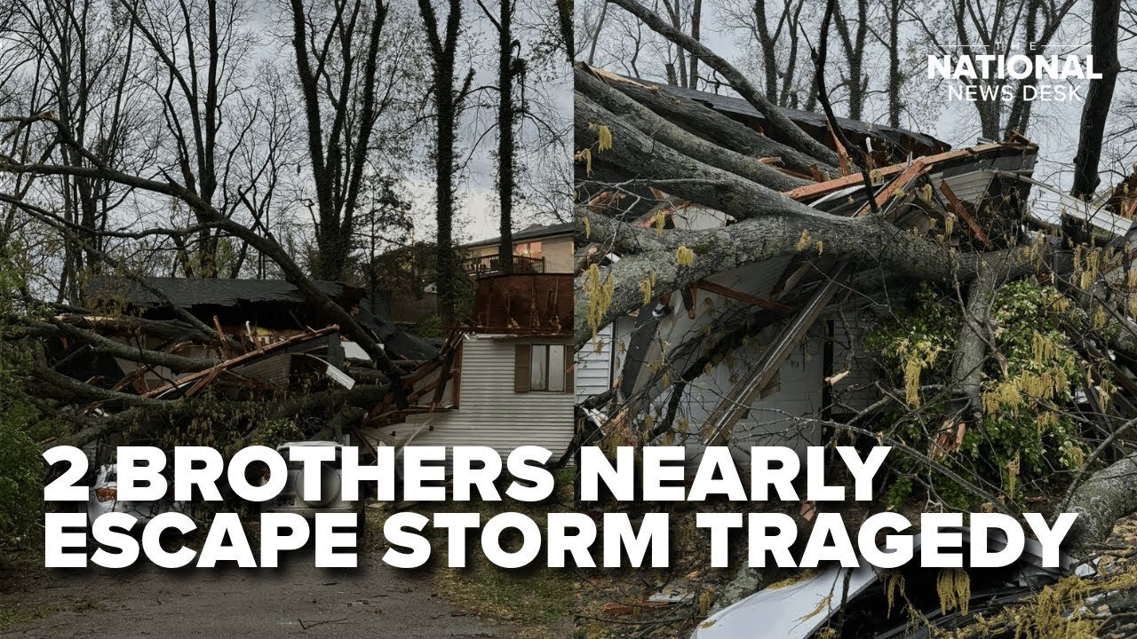 2 brothers nearly escape tree crushing home