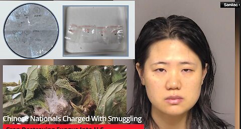 Chinese Nationals Charged With Smuggling Crop Destroying Fungus Into U.S.
