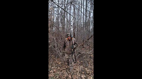 Hunting Red Oak trees