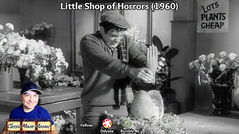 Little Shop of Horrors (1960) Review and Commentary by Jason [7.25.2025]