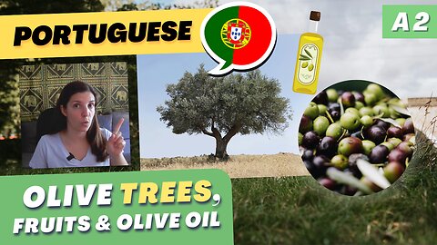 Talking about olive TREES in Portuguese | A2 European Portuguese with comprehensible input