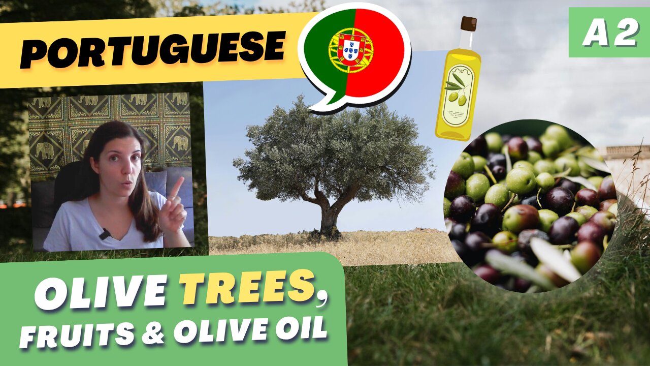 Talking about olive TREES in Portuguese | A2 European Portuguese with comprehensible input