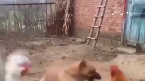 Taqat ki liye arafaq zaroori hai