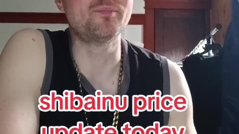 Shibainu crypto price update today