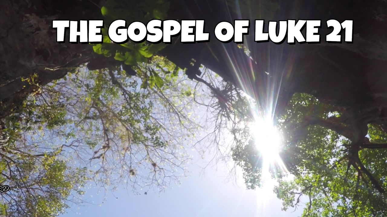 The Gospel of Luke 21