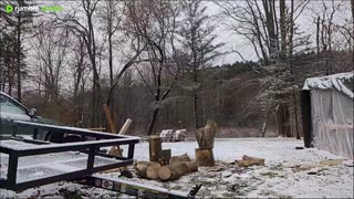 Log Splitting LIVE- Watch Me Work in the Snow