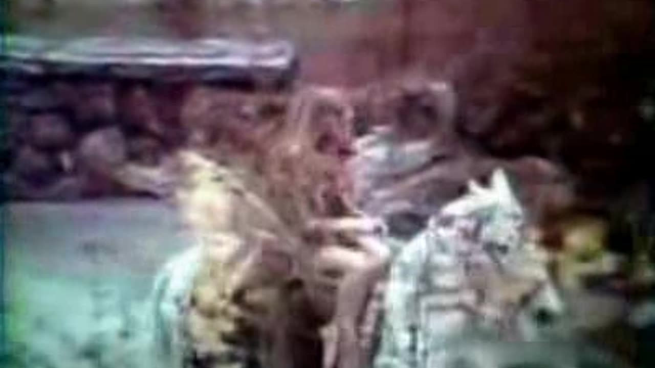 Commercial - Benson & Hedges 100s Cigarettes (Long awards)