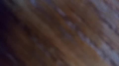 Guacamole, cover, Texas Tornados, 1992