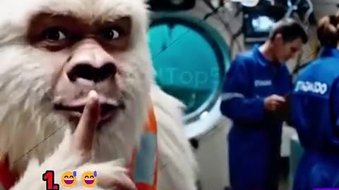 Ranking funniest AI videos 😂