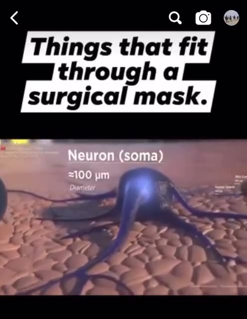 Surgial Masks dont work!