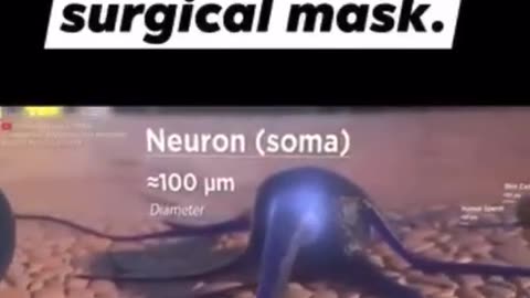 Surgial Masks dont work!