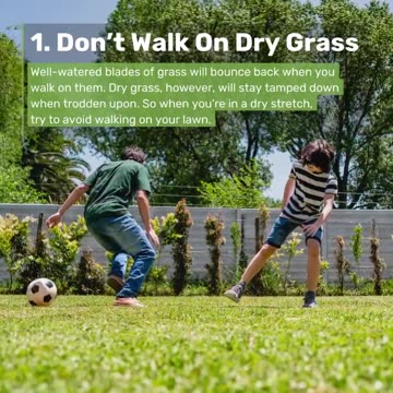 4 Tips to Protecting Your Lawn This Summer. LarryBroker.com – Larry@LarryGallegos.com